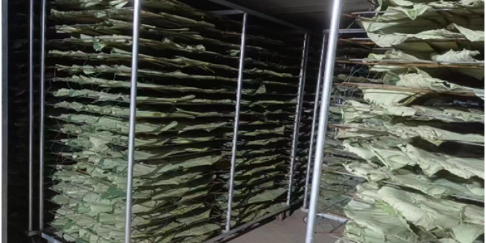 某荷葉烘干項(xiàng)目